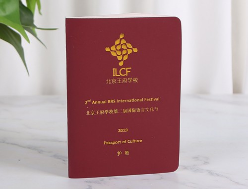 25万美元撬动欧亚跳板：土耳其移民项目咨询公司全景拆解